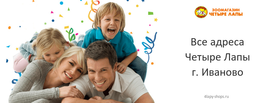 Четыре Лапы в г. Иваново Четыре Лапы в г. Иваново