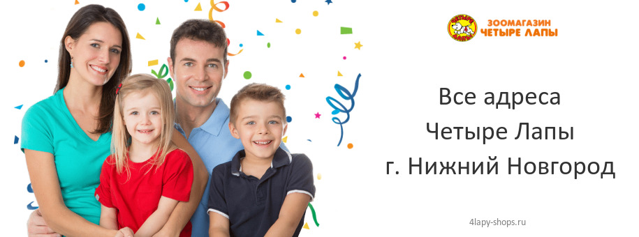 Четыре Лапы в г. Нижний Новгород Четыре Лапы в г. Нижний Новгород