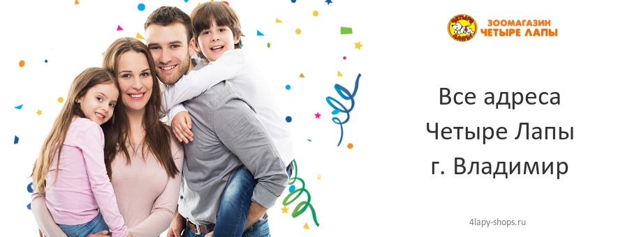 Четыре Лапы в г. Владимир Четыре Лапы в г. Владимир