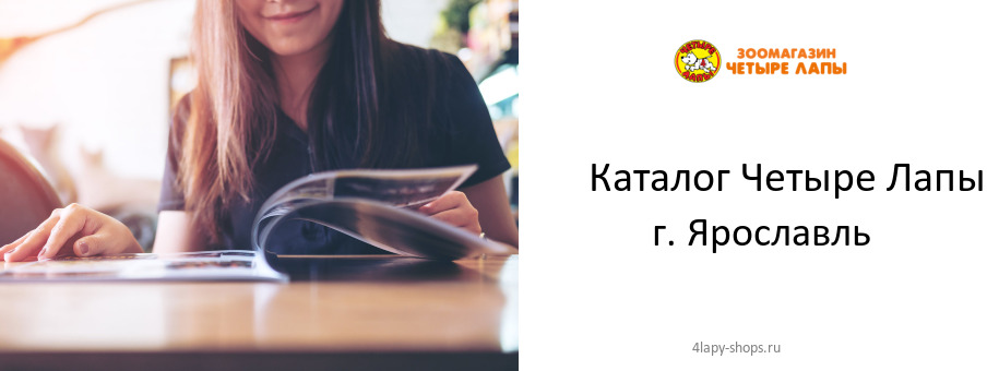 Каталог товаров магазина Четыре Лапы в г. Ярославль