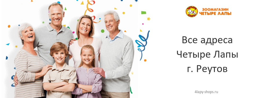 Четыре Лапы в г. Реутов