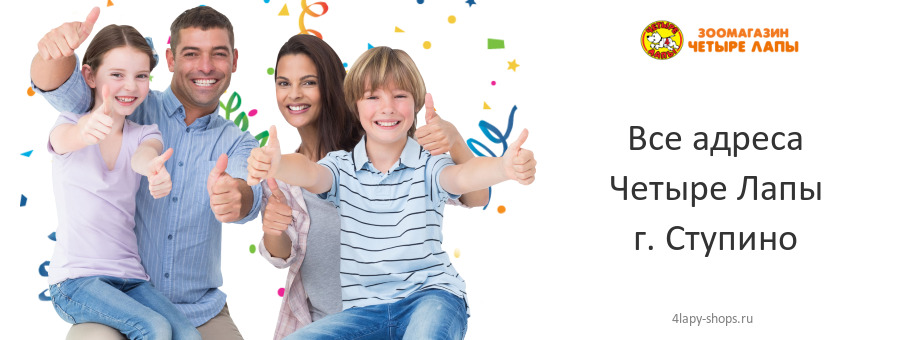 Четыре Лапы в г. Ступино