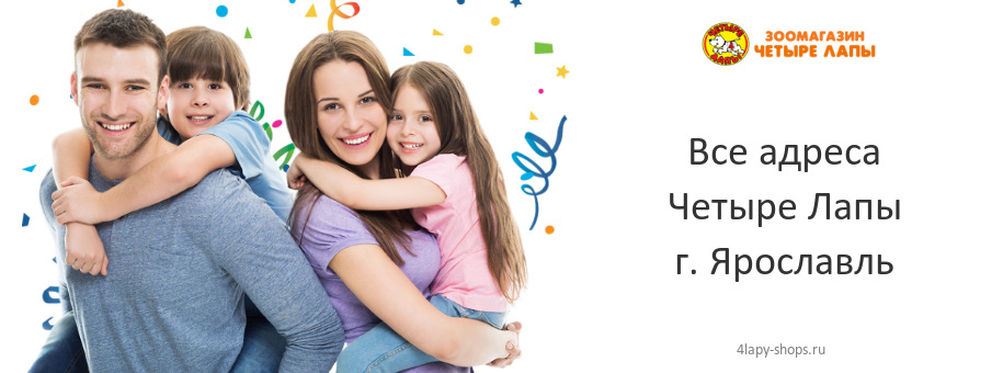 Четыре Лапы в г. Ярославль