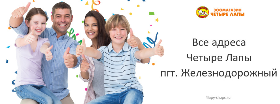 Четыре Лапы в пгт. Железнодорожный